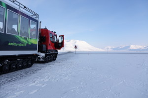 Beltevogn-Norge-HGR-122332- Foto Thora Støren