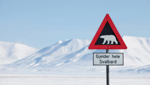 Polar bear sign 1920x1080 Photo Hanne Feyling