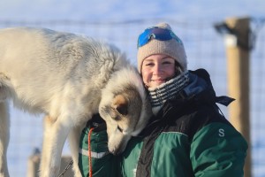 3 dager ekspedisjon på Svalbard med hundespann - Green Dog