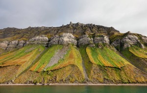 Isfjord safari HGS 00969 1920 Photo Hanne Feyling