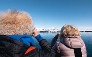 Walrus safari- Hurtigruten Svalbard - Photo: Andre Van Ingelgem