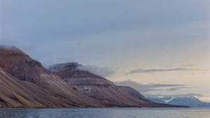 Isfjord-safari-bird-cliffs boattrip arctic-wildlife Agurtxane-Concellon Landscape 1920x1080 01