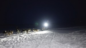 Dog sledding in Bolterdalen Polar night HGR 164590 1920