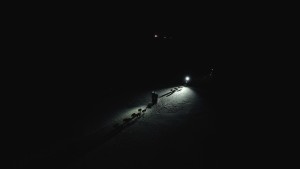 Dog sledding in Bolterdalen Polar night HGR 164583 1920
