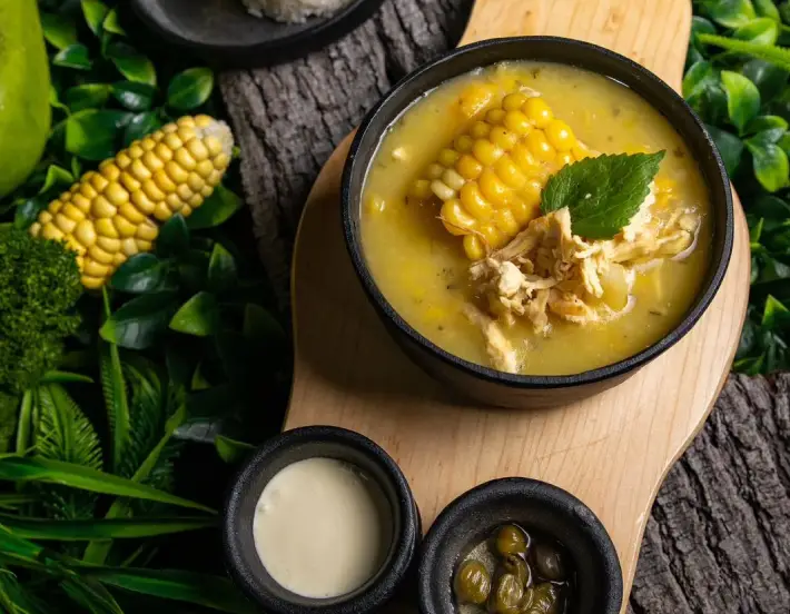 Faunaticos-7-710x552