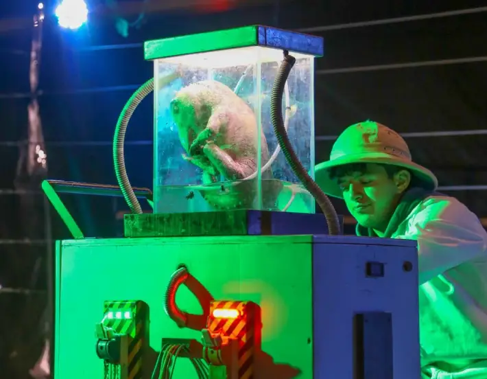 Faunaticos-1-710x552