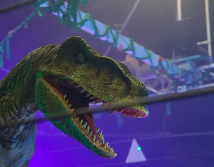 Faunaticos-5-710x552