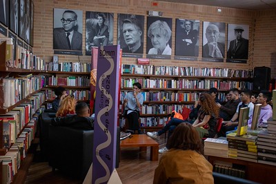 encuesta bibliotecas