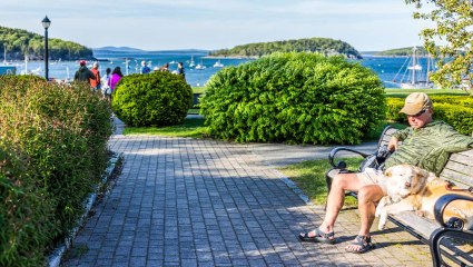 A man and his dog relax on a bench near the ocean at Bar Harbor during one of their many pet-friendly vacations. 