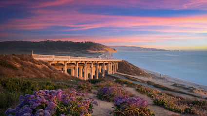 View of a San Diego coast during a colorful sunset with purple flowers littered the coast.