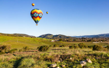 Napa Valley, one of the top spring break destinations.