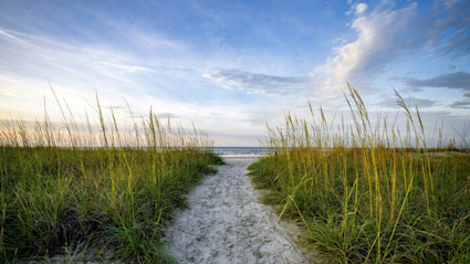 Beach at Hilton Head.