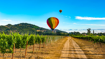 A hot air balloon rises above a Napa Valley grape field, one of the best vacation spots for couples.