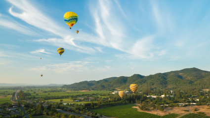 Hot air balloons fill the sky above Napa Valley, creating a fun spectacle for people during their pet-friendly vacations.