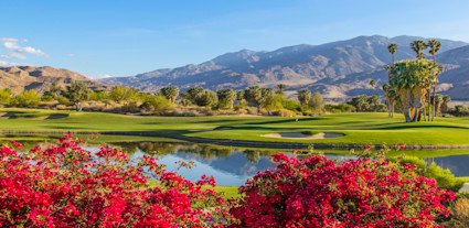 Hero of Palm Springs hero with vibrant red flowered bush with picturesque green golf course.
