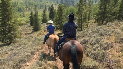 Going for a horseback ride in the mountains is one of the best things to do in Telluride.