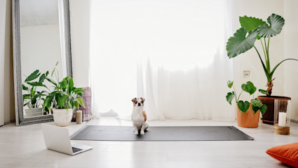 A yoga mat and mirror fill the space of a yoga room, one of the most popular zen room ideas.