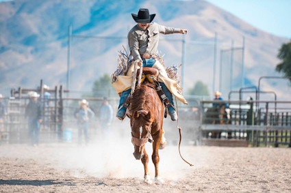 Man riding a bull at the Jackson Hole Rodeo.