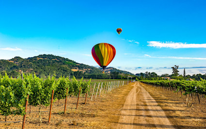 A photo of Napa Valley, California, one of the best vacation spots for couples.