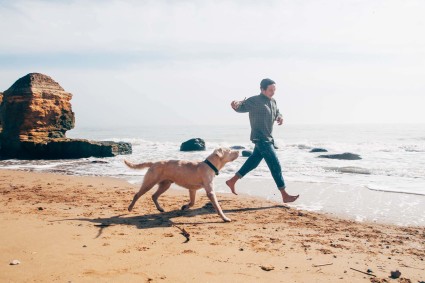 A man runs with his dog at the beach, having researched the best activities for pet-friendly vacations.
