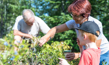 A family forages for berries while exploring what to do after retirement.

