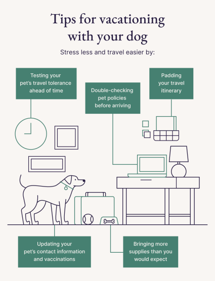 An image provides helpful tips for pet owners planning pet-friendly vacations.