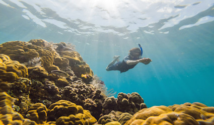 A snorkeler approaching an underwater coral reef.