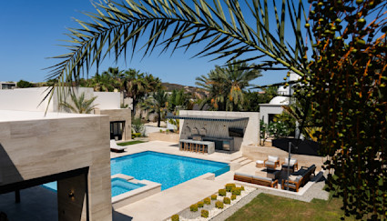 View of Solana pool area with a fern framing the foreground of the photo.