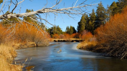 A photo of Truckee, a great place to enjoy fall in California.