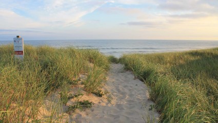A vacant beach at Nantucket offers plenty of room for dog owners to exercise their friends on their pet-friendly vacations.