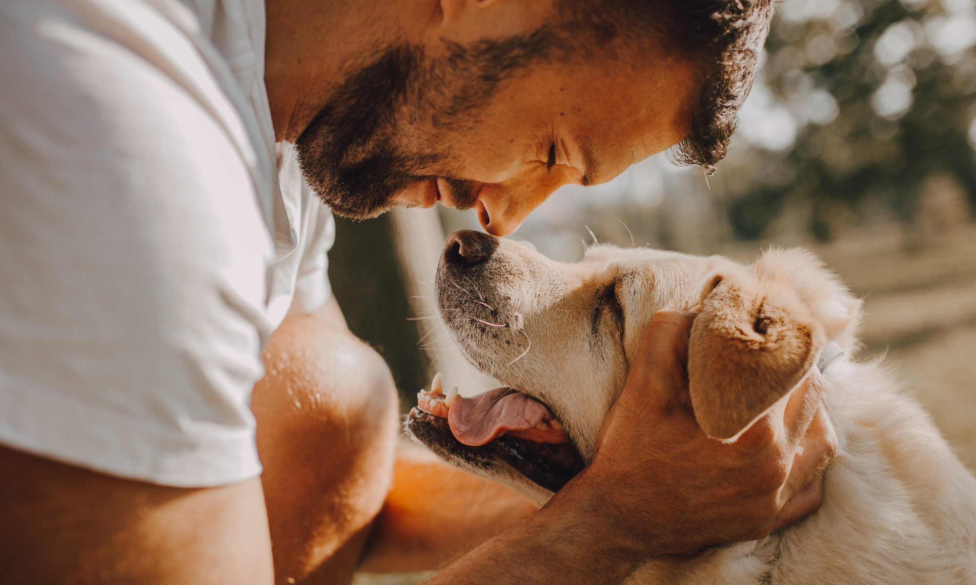 estrecho desastre Estadístico Cómo aliviar el estreñimiento en perros con remedios caseros y naturales |  Barkibu