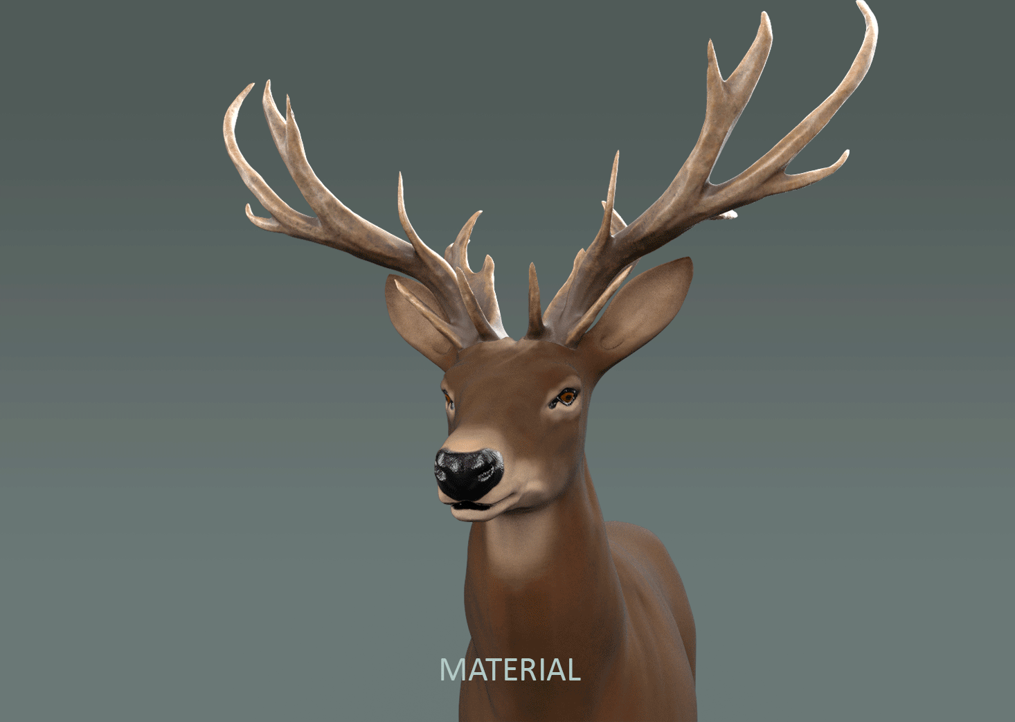 瑞云专访：如何用Blender制作一只彪悍的森林之鹿
