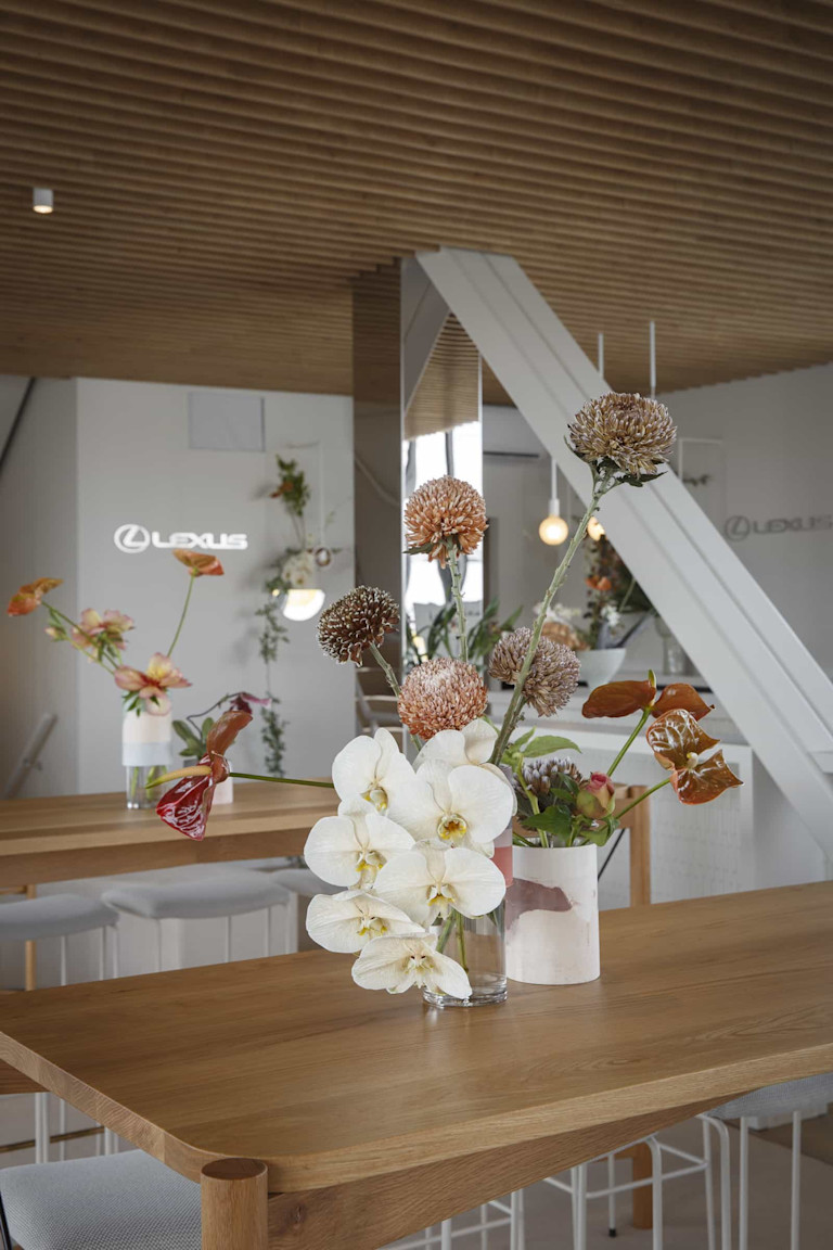 Dear Studio – Lexus-20