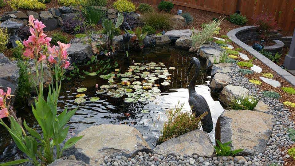 Watergarden_Andreatta Waterscapes_Medford Oregon