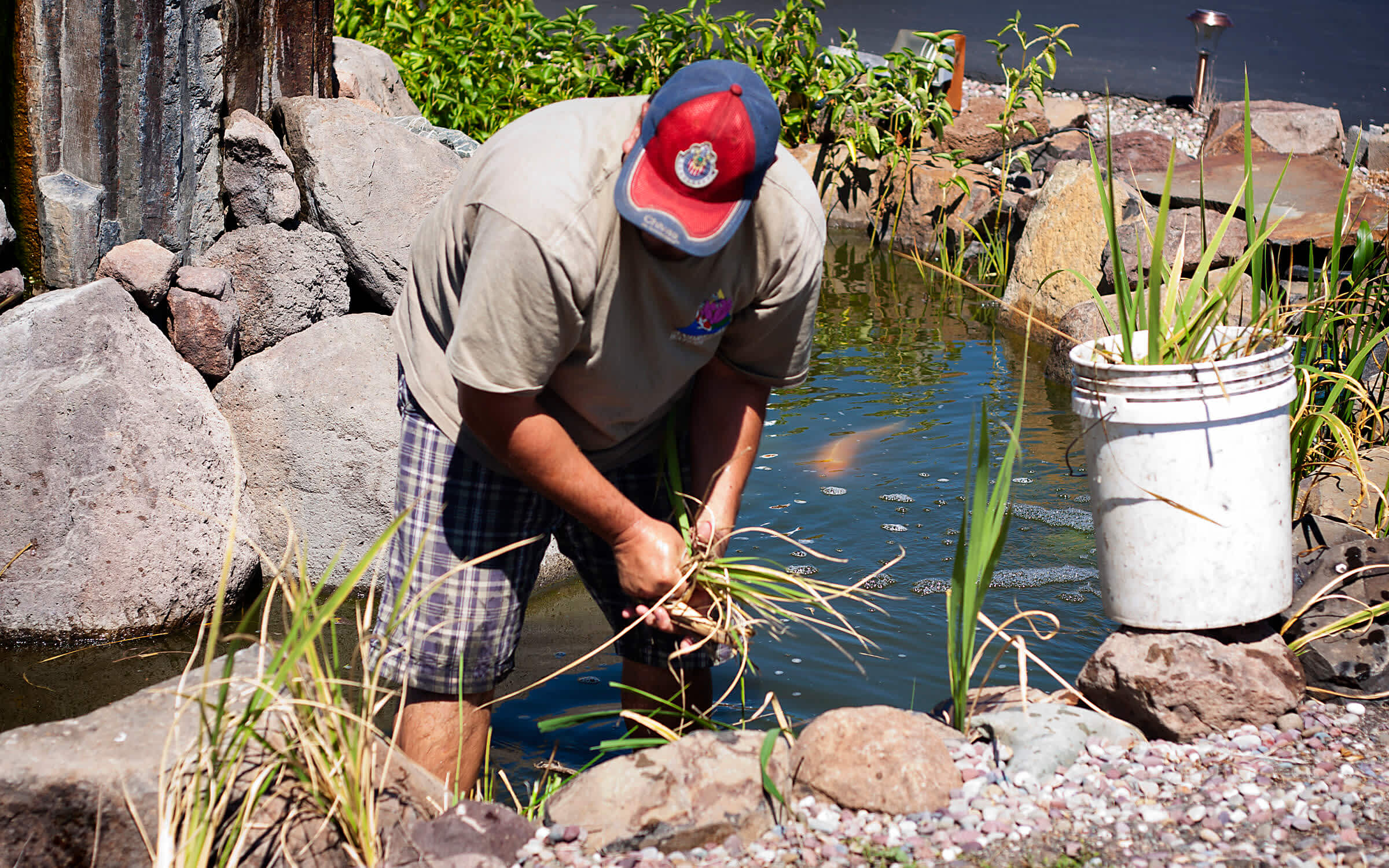 Pond Maintenance Andreatta Waterscapes Central Point Oregon