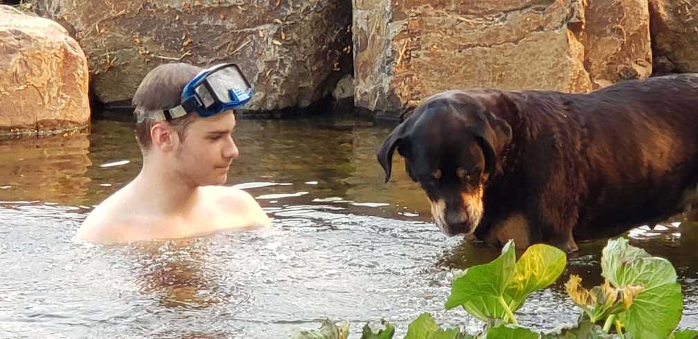 Dog and Boy in Pond Andreatta Waterscapes Central Point Oregon