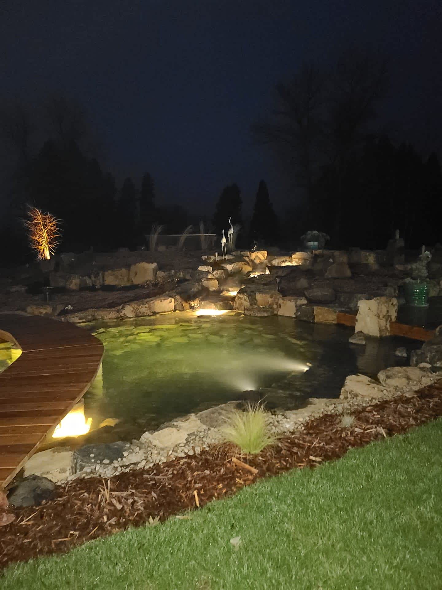 Lighted Koi Pond Andreatta Waterscapes Grants Pass Oregon