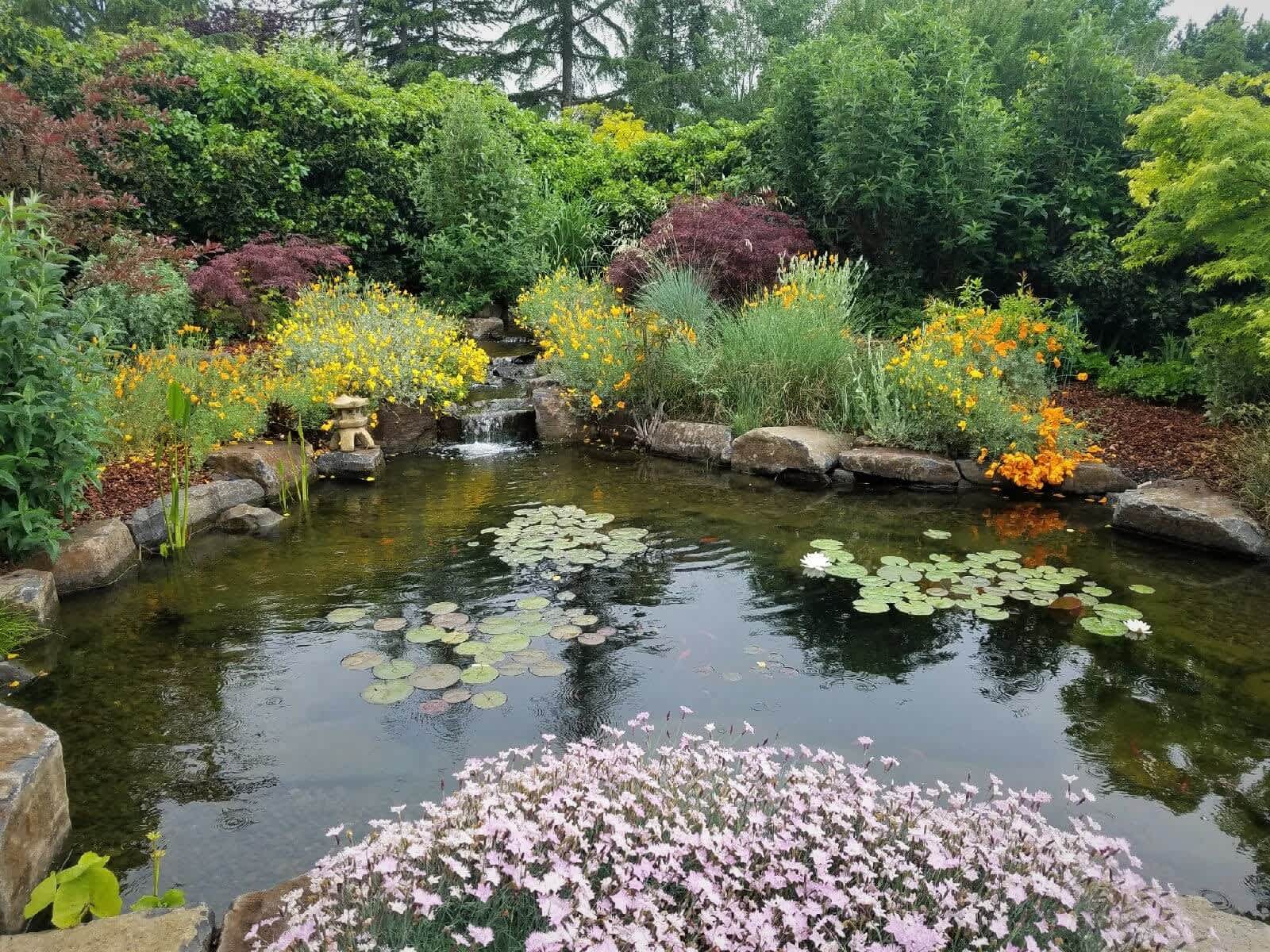 Water Garden Andreatta Waterscapes Ashland Oregon