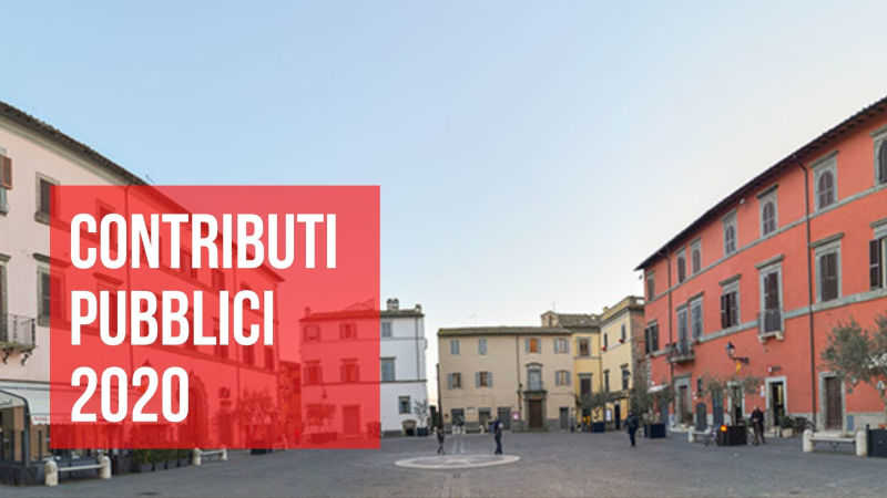 Contributi Pubblici 2020