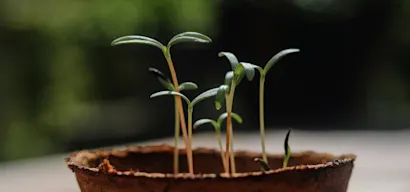 Changelog updates in 2023