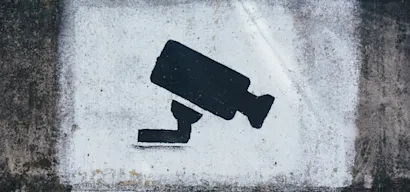 Conducting critical reviews: security and privacy considerations