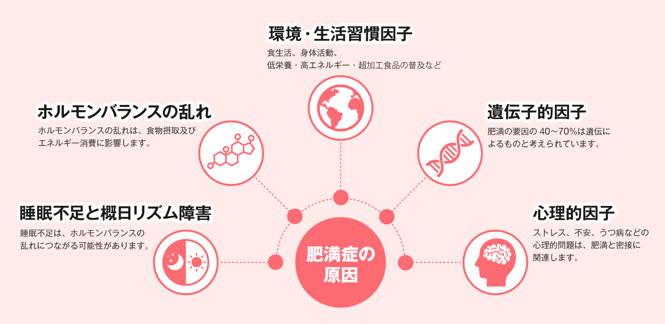 肥満症の原因は、「睡眠不足と概日リズム障害」、「ホルモンバランスの乱れ」、「環境・生活習慣因子」、「遺伝子的因子」、「心理的因子」