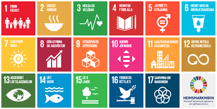 Markmið fyrir árið 2030