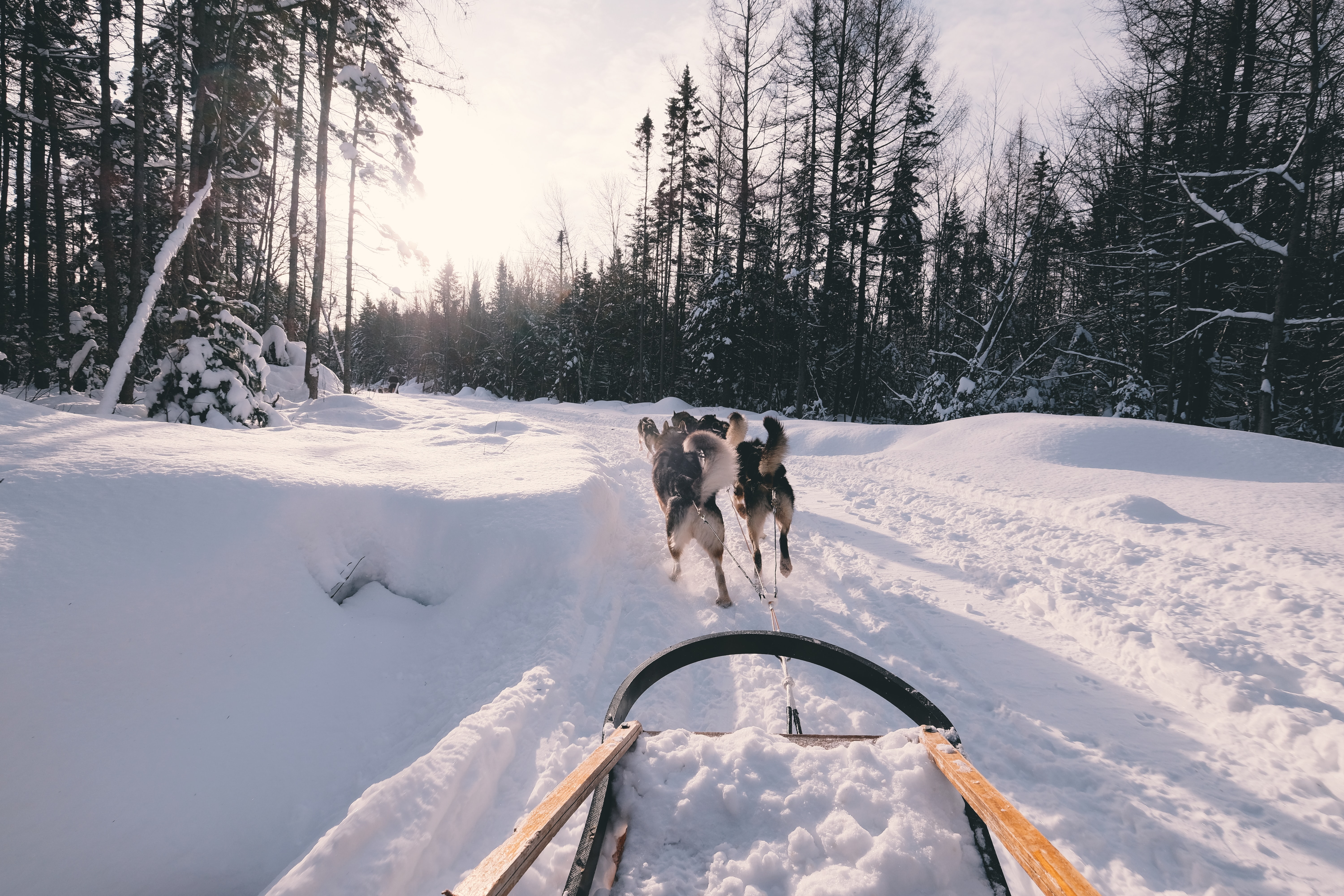 Reiseziel-maerz-lappland-blog-unplanned