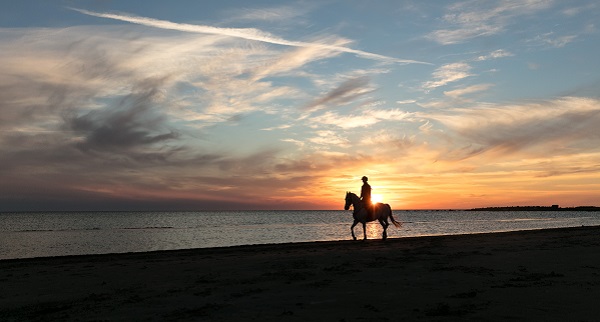 reiten-unsere-top-5-aktivitäten-auf-einem-unplanned-trip-blog-unplanned