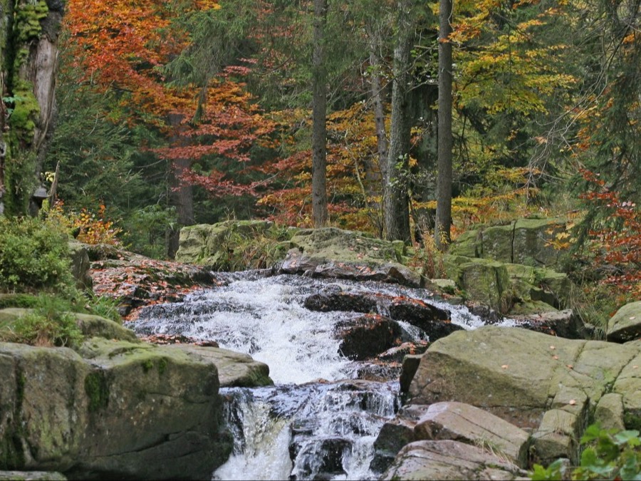 Unplanned-Reiseziele-Goldener-Herbst-Harz