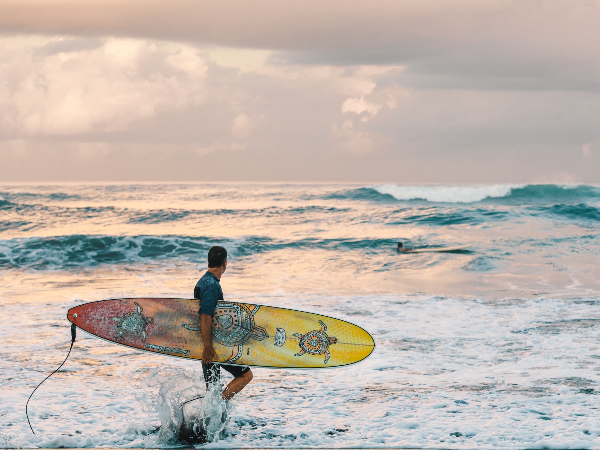 Unplanned-homeoffice-unter-palmen-surfen