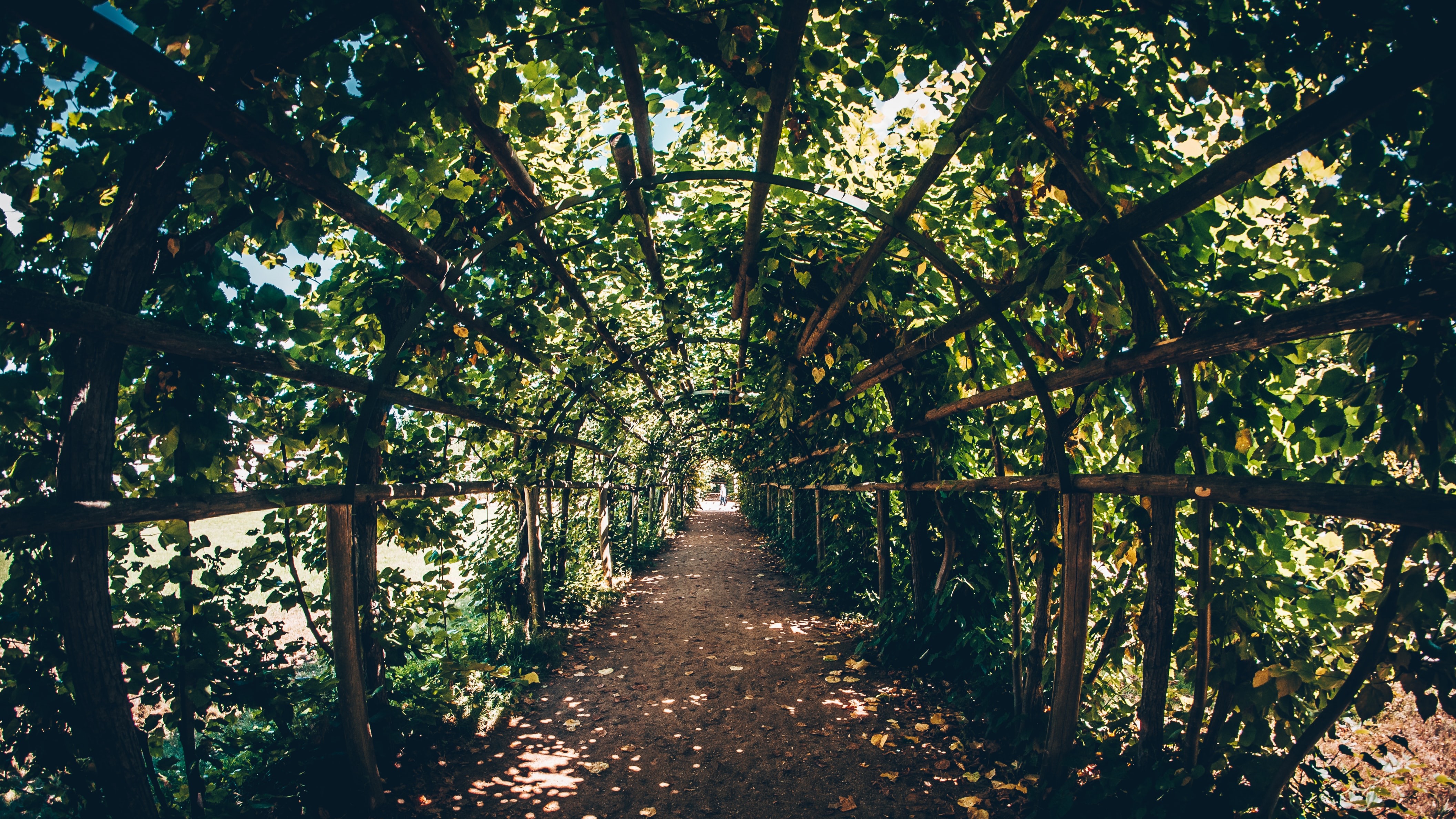 Unplanned-wanderrouten-potsdam