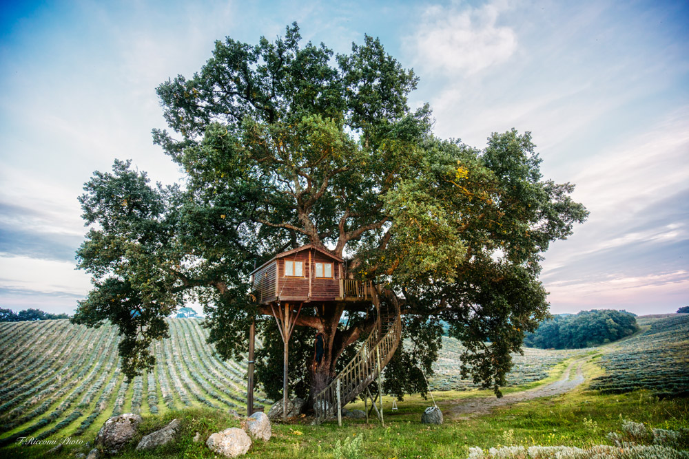 Unplanned-außergewöhnliche-Unterkünfte-Baumhaus-La suite bleue