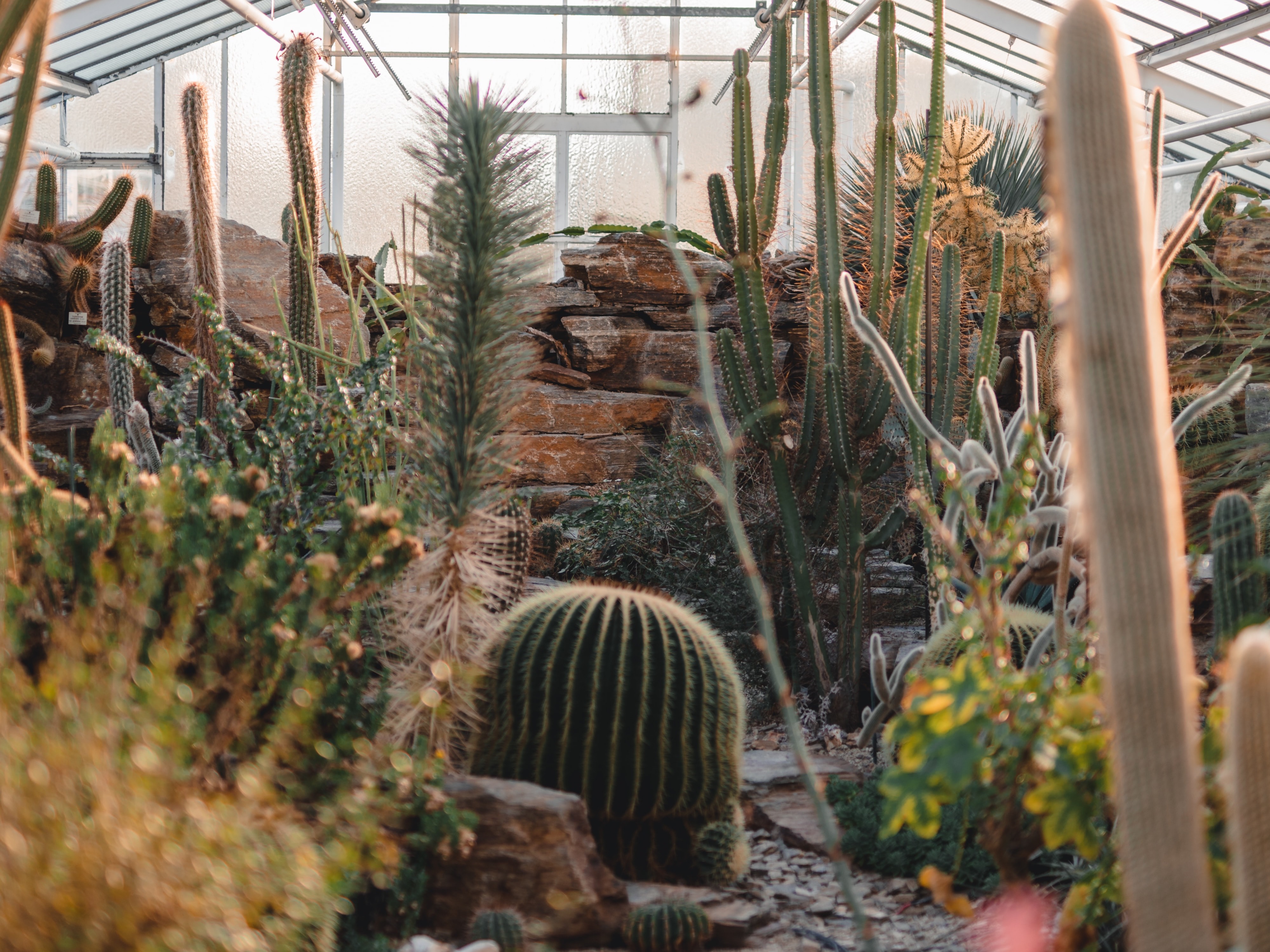 Unplanned-Perfekter-Tag-in-Muenchen-Botanischer-Garten